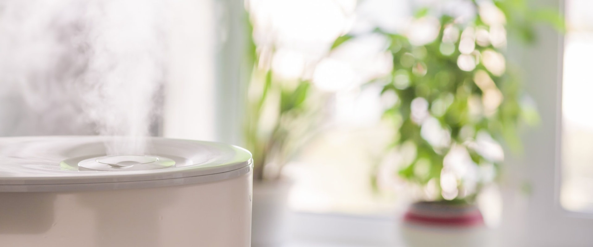 What Type of Filter Should You Use with an Air Ionizer Installation Service?