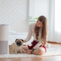 Breathe Cleaner Air with Lennox Air Filters 20x20x5 and Professional Air Ionizer Installation Services for a Healthier, Allergen-Free Home Environment