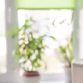 What Type of Filter Should You Use with an Air Ionizer Installation Service?