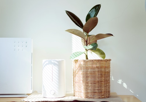 Do Air Purifiers Remove Ozone? An Expert's Guide